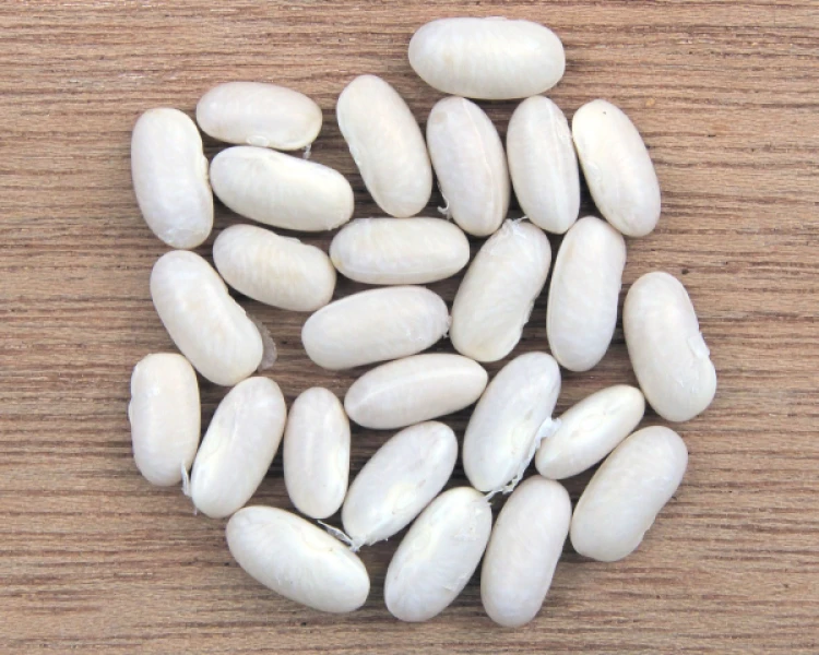 Poroto Arroz 25kg
