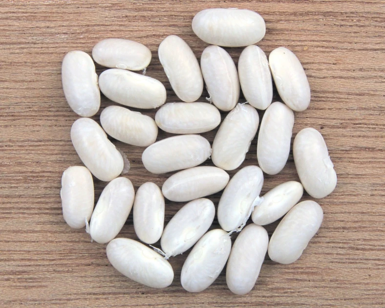 Poroto Arroz 25kg