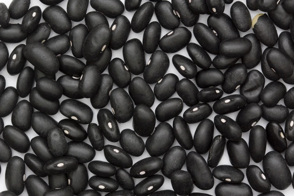 Poroto Negro 25kg