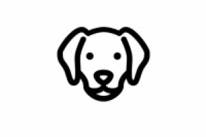 Alimento para Perros